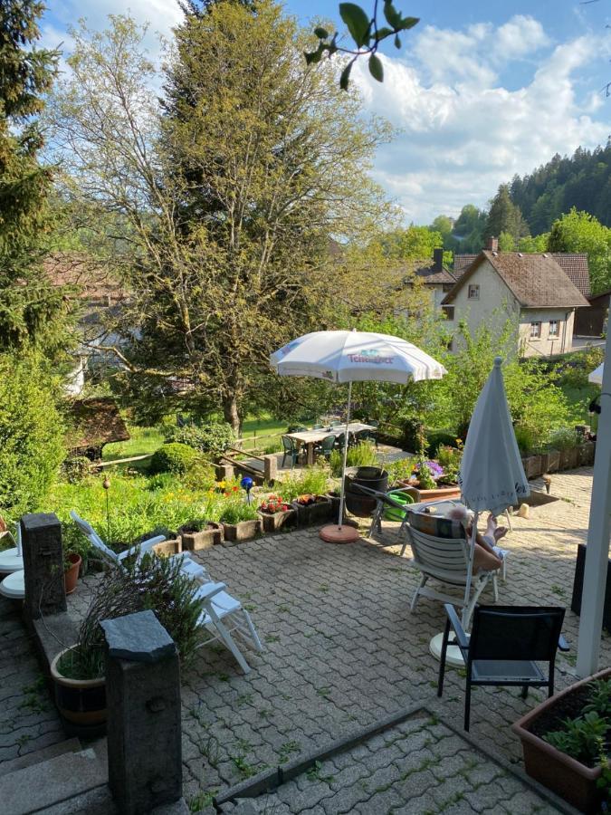 Apartamento Kleines Haus Silberdistel Todtmoos Exterior foto